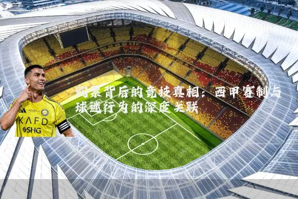 购票背后的竞技真相：西甲赛制与球迷行为的深度关联